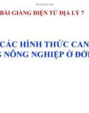 Bài giảng Địa lý 7 bài 8: Các hình thức canh tác trong nông nghiệp ở đới nóng