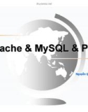 Bài giảng: Apache & MySQL & PHP