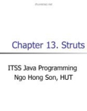 Java C13. Struts