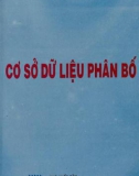 Tổng quan về cơ sở dữ liệu phân bố (Tái bản lần thứ hai): Phần 1