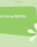 Toán tử trong MySQL