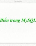 Biến trong MySQL