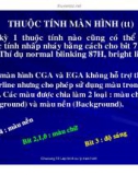 Cấu trúc máy tính và lập trình Assembly : LẬP TRÌNH XỬ LÝ MÀN HÌNH & BÀN PHÍM part 3