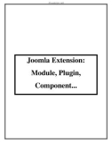 Joomla Extension: Module, Plugin, Component...