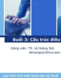 Bài giảng Lập trình tính toán khoa học kỹ thuật: Buổi 3 - TS. Lê Hoàng Sơn