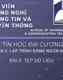 Bài giảng Tin học đại cương - Bài 8: Tệp dữ liệu