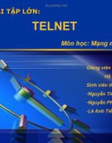 BÀI TẬP LỚN: TELNET