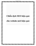 Chiến dịch SEO hiệu quả cho website mới hiệu quả