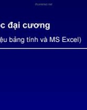 Bài giảng Tin học đại cương: Chương 5 - Giới thiệu bảng tính và MS Excel