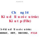 Bài giảng Ngôn ngữ lập trình Pascal: Chương 14 - Kiểu dữ liệu có cấu trúc - Kiểu tệp (File)