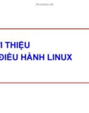 Giới thiệu hệ điều hành Linux