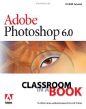 Adobe Photoshop 6.0- P1