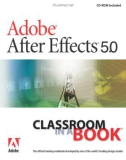 Adobe After Effects 5.0- P1