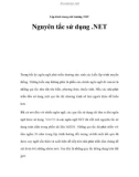 Lập trình trong môi trường .NET - Nguyên tắc sử dụng .NET