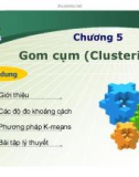 Bài giảng Khai phá dữ liệu: Chương 5 - Phan Mạnh Thường