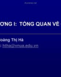 Bài giảng Cơ sở dữ liệu: Chương 1 - Hoàng Thị Hà