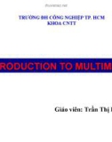 INTRODUCTION TO MULTIMEDIA