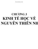 Bài giảng Kinh tế môi trường: Chương 3 - Nguyễn Ngọc Lan