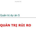 Bài giảng Quản trị dự án - Quản trị rủi ro