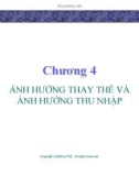 Bài giảng Lý thuyết kinh tế học vi mô: Chương 4 - GV. Đinh Thiện Đức