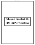 Ghép nối hàng loạt file PDF với PDF Combiner