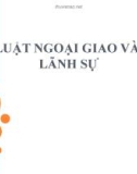 LUẬT NGOẠI GIAO VÀ LÃNH SỰ