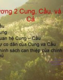 Bài giảng Cung, Cầu, và Giá Cả