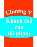 Bài giảng Luật Hình sự Việt Nam: Chương 5 - ThS. Trần Đức Thìn