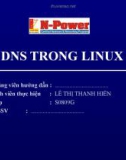 DNS Trong Linux