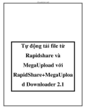 Tự động tải file từ Rapidshare và MegaUpload với RapidShare+MegaUploa d Downloader 2.1