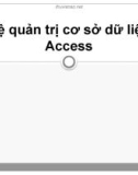 Bài giảng Hệ quản trị cơ sở dữ liệu Access