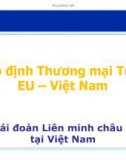 Bài giảng Hiệp định Thương mại Tự do EU – Việt Nam