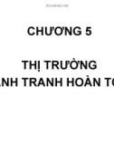 Bài giảng Kinh tế vĩ mô - Chương 5: Thị trường cạnh tranh hoàn toàn (6tr)