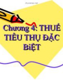 Bài giảng Chương 4: Thuế tiêu thụ đặc biệt