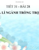 Bài giảng Địa lí lớp 10 - Bài 28: Địa lí ngành trồng trọt