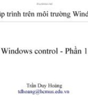 Lập trình trên môi trường Windows