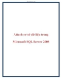 Attach cơ sở dữ liệu trong Microsoft SQL Server 2008.