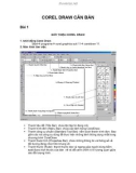 COREL DRAW CĂN BẢN