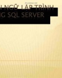 Bài giảng Ngôn ngữ lập trình trong SQL Servel - Phan Hiền