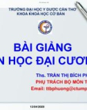 Bài giảng Tin học đại cương: Chương 1&2 - ThS. Trần Thị Bích Phượng