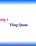 Chương 1: Tổng Quan