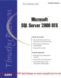 Microsoft SQL Server 2000 Data Transformation Services- P1