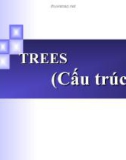 Bài giảng Trees (Cấu trúc cây)