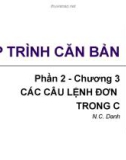 Bài giảng Lập trình căn bản - Chương 3: Các câu lệnh đơn trong C