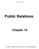 Lecture The dynamics of mass communication: Media in the digital age (10/e): Chapter 14 - Joseph R. Dominick