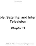 Lecture The dynamics of mass communication: Media in the digital age (10/e): Chapter 11 - Joseph R. Dominick