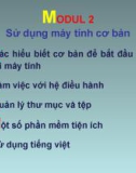 Ôn tập Tin học cơ bản: Modul 2 - ThS. Võ Minh Đức