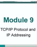 CCNA 1 Network Basics - Module 9 TCP/IP Protocol and IP Addressing