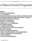 Java Object-Oriented Programming