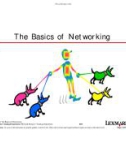 The Basics of Networking